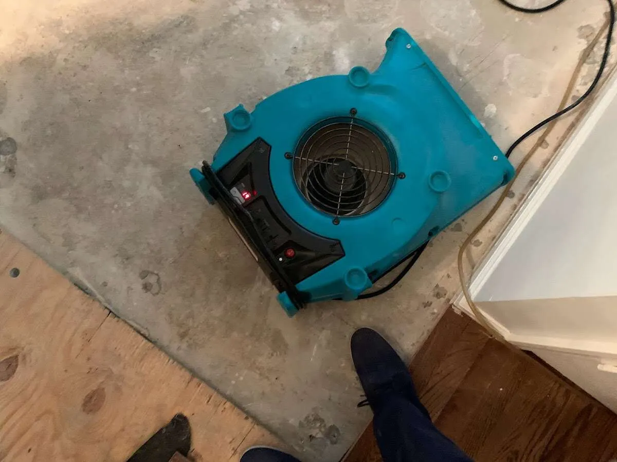 Air mover drying subfloor during Leak Detection & Repair in Ben Lomond